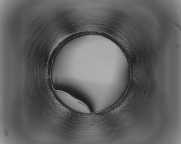 X0000097800880200804041312