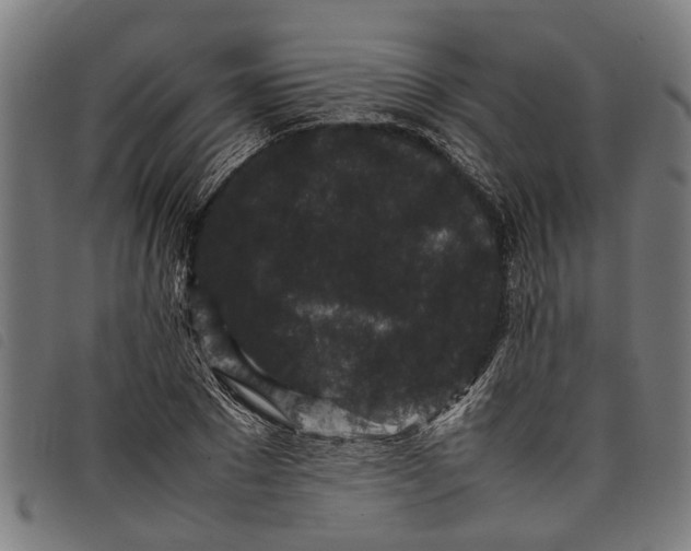 X0000097800881200804041312