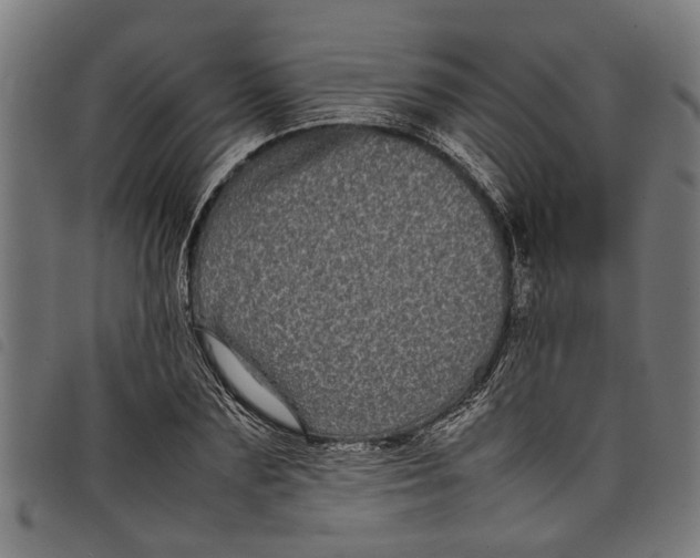 X0000097800883200804041312