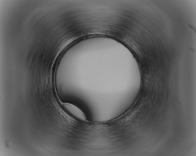 X0000097800884200804041312