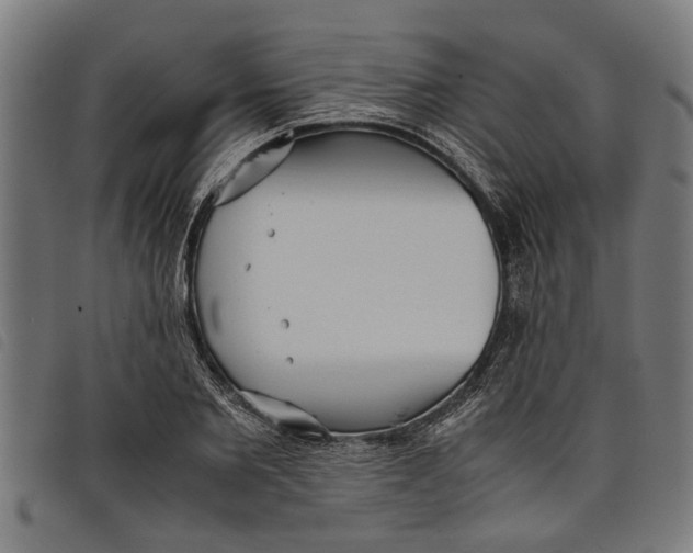 X0000097800885200804041312