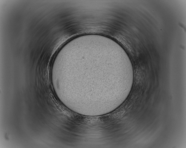 X0000097800886200804041312