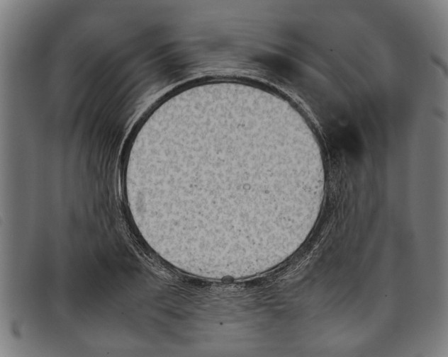 X0000097800887200804041312