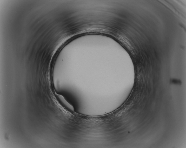 X0000097800888200804041312