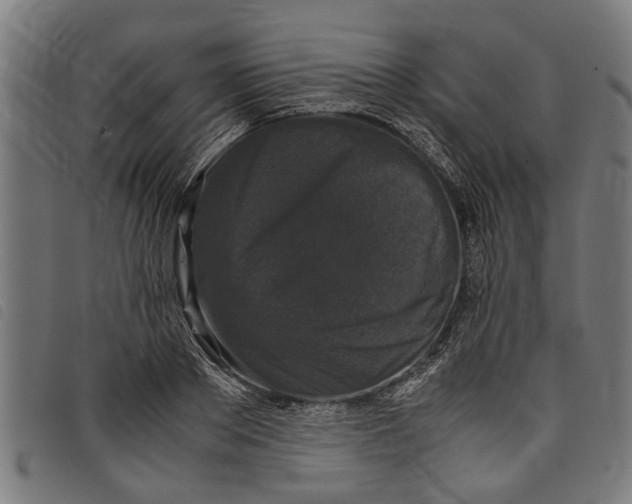 X0000097800889200804041312