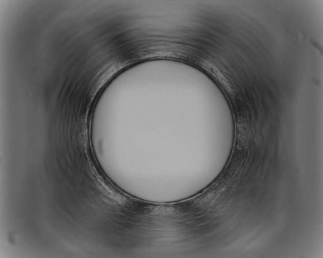 X0000097800890200804041312