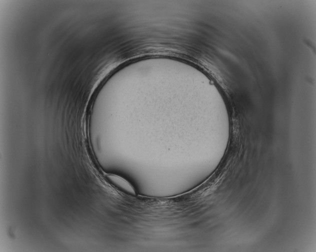 X0000097800891200804041312