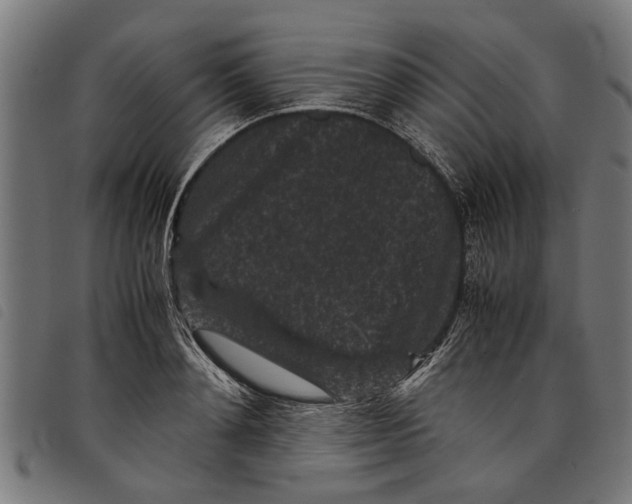 X0000097800892200804041312