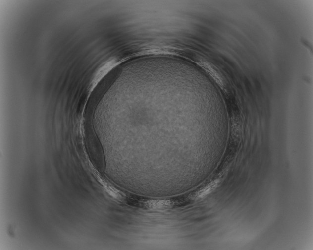 X0000097800893200804041312