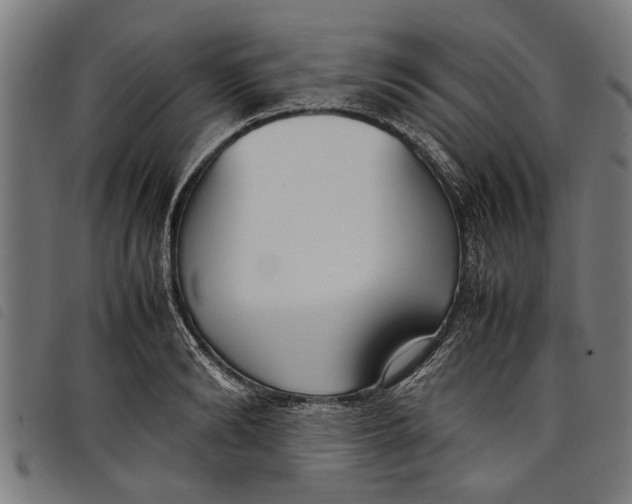 X0000097800894200804041312