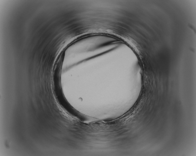 X0000097800895200804041312