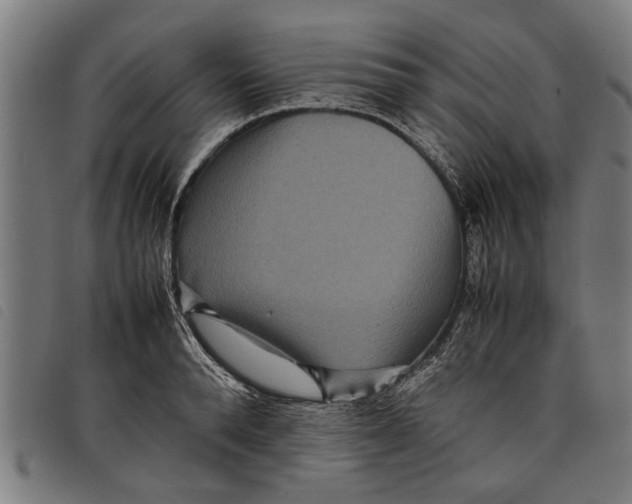 X0000097800896200804041312