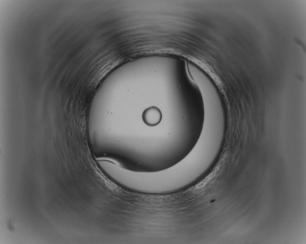 X0000097800897200804041312