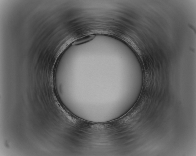 X0000097800898200804041312