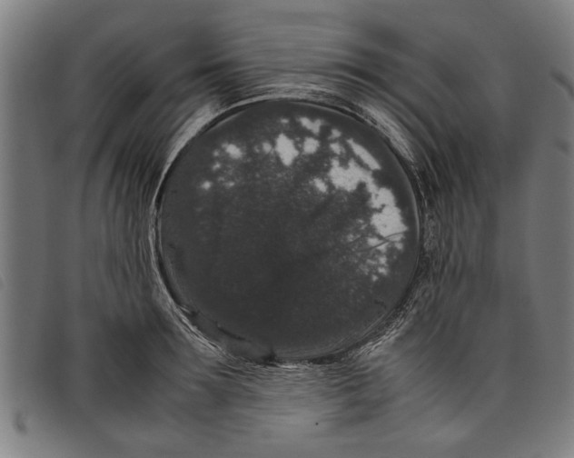 X0000097800899200804041312