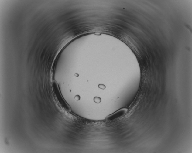 X0000097800900200804041312