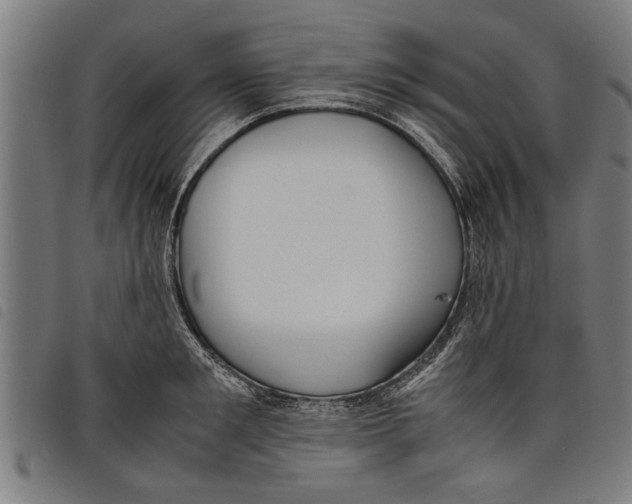 X0000097800901200804041312