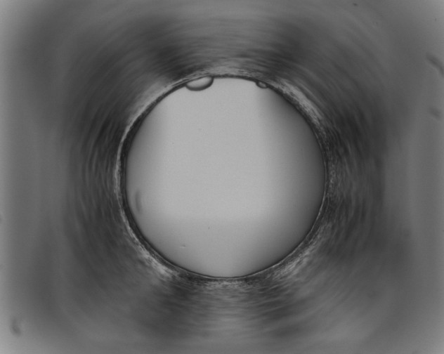 X0000097800902200804041312