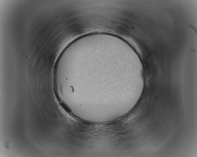 X0000097800903200804041312