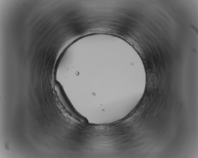 X0000097800904200804041312