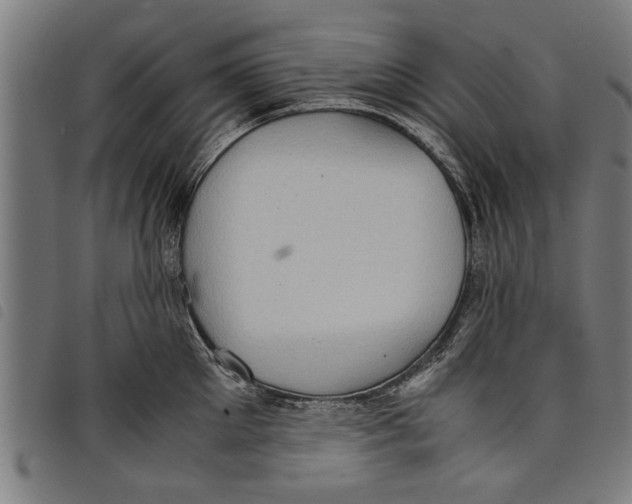 X0000097800905200804041312