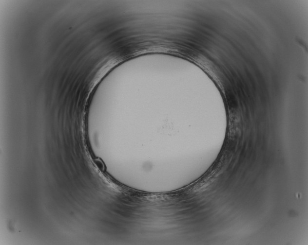 X0000097800906200804041312