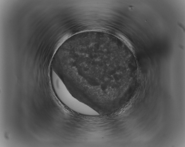 X0000097800907200804041312