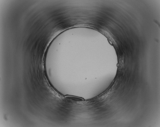 X0000097800908200804041312