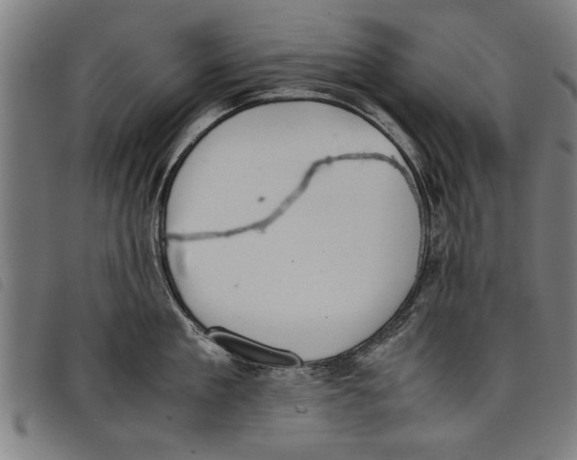 X0000097800909200804041311