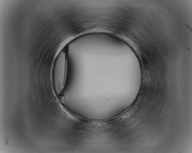 X0000097800910200804041311