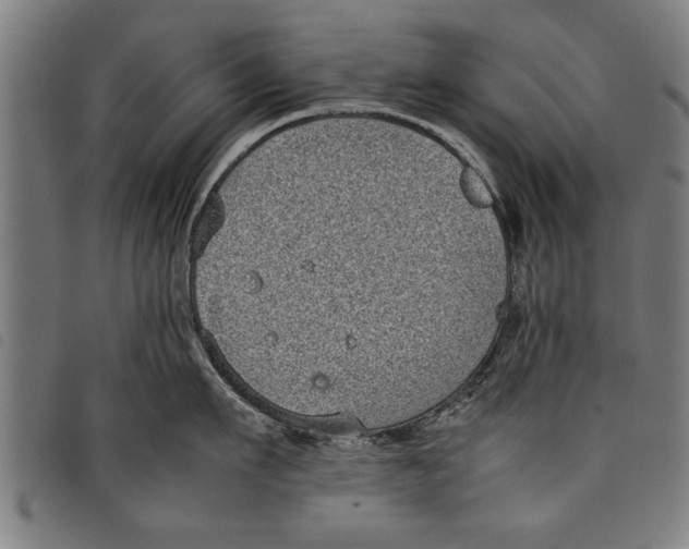 X0000097800911200804041311