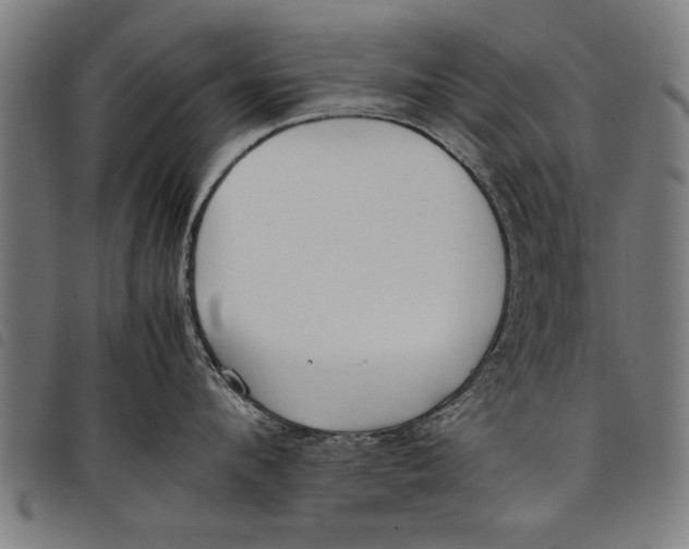 X0000097800912200804041311