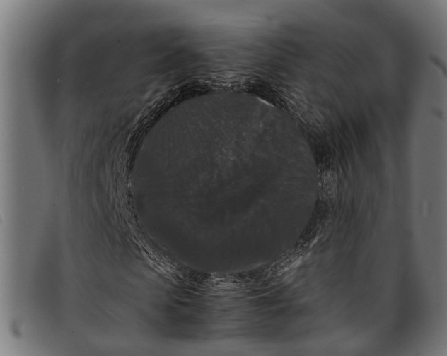 X0000097800913200804041311