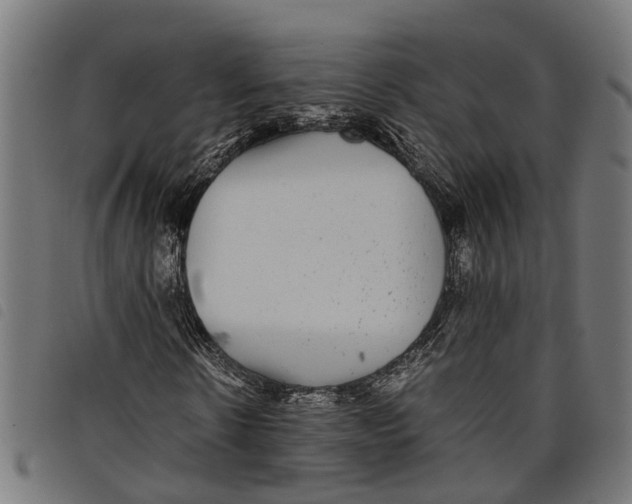 X0000097800914200804041311