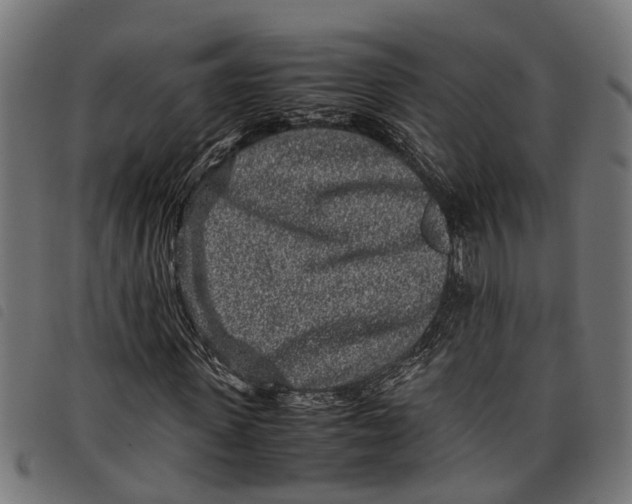 X0000097800915200804041311