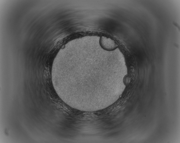 X0000097800918200804041311