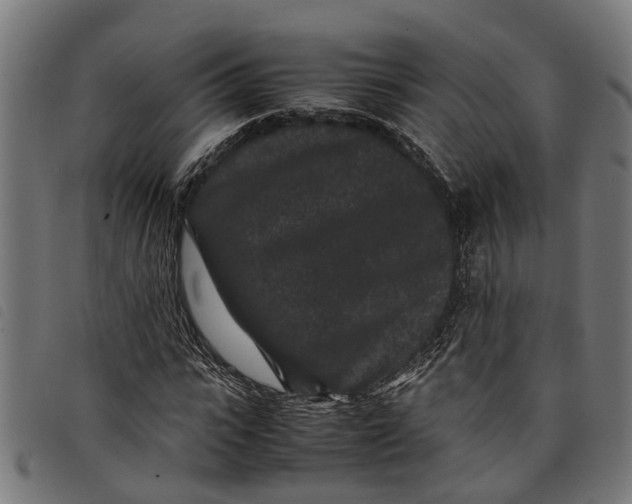 X0000097800919200804041311