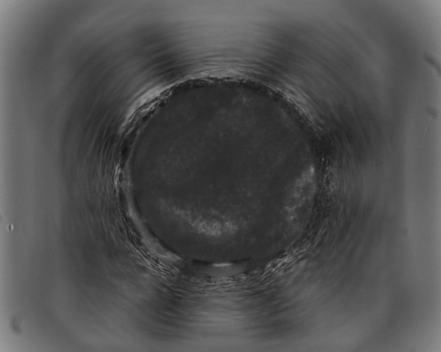 X0000097800920200804041311