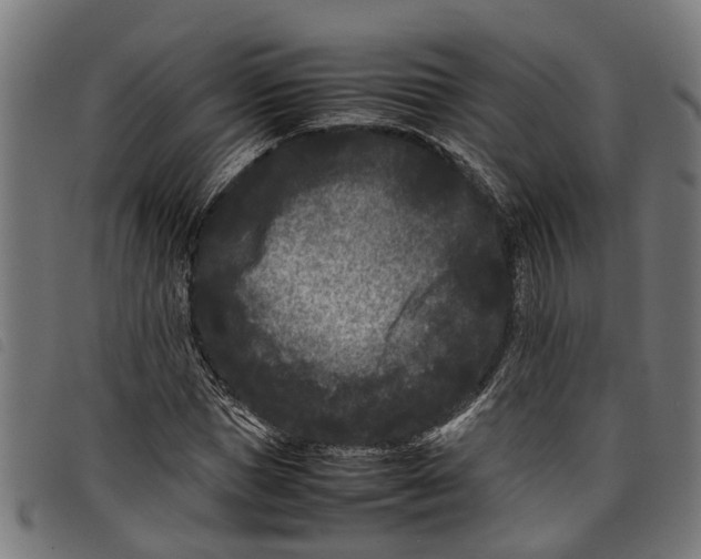 X0000097800921200804041311