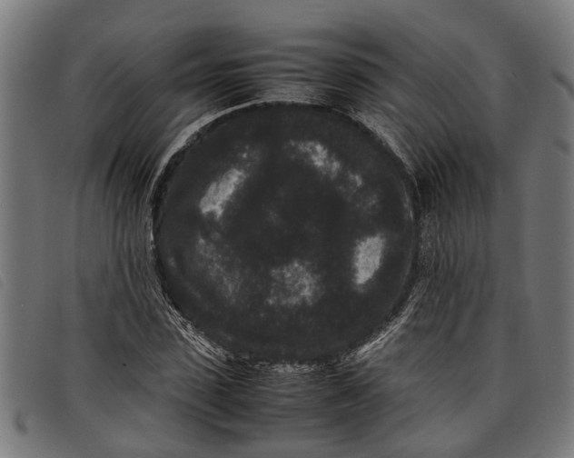 X0000097800923200804041311