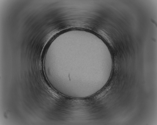 X0000097800924200804041311