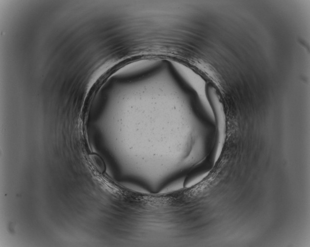 X0000097800928200804041311