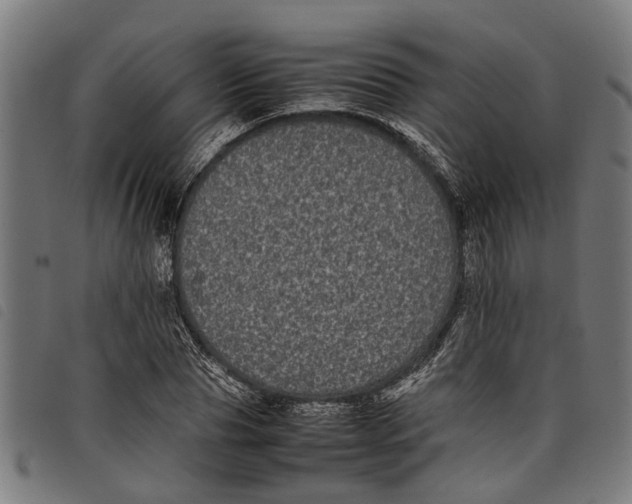 X0000097800929200804041311