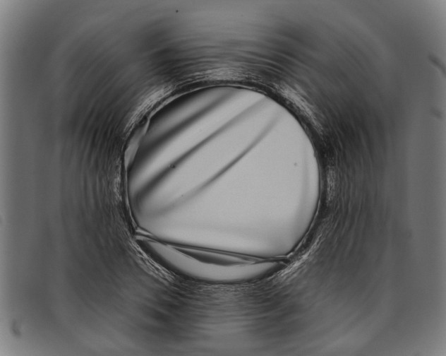 X0000097800930200804041311