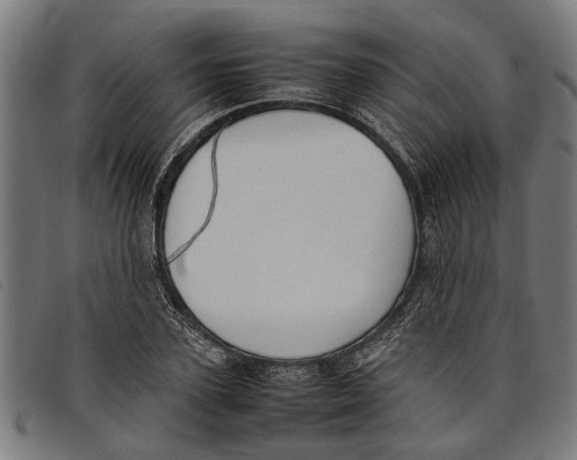 X0000097800931200804041311