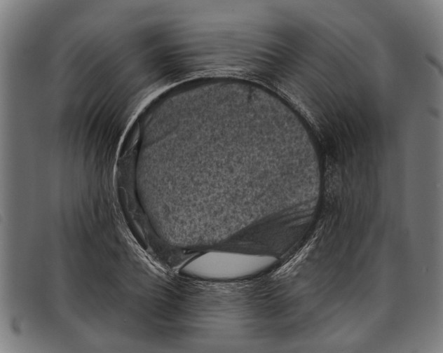 X0000097800932200804041311