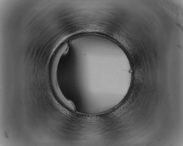 X0000097800934200804041311