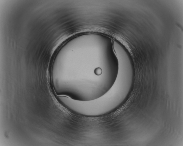 X0000097800936200804041311