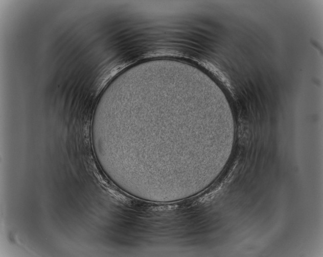 X0000097800937200804041311