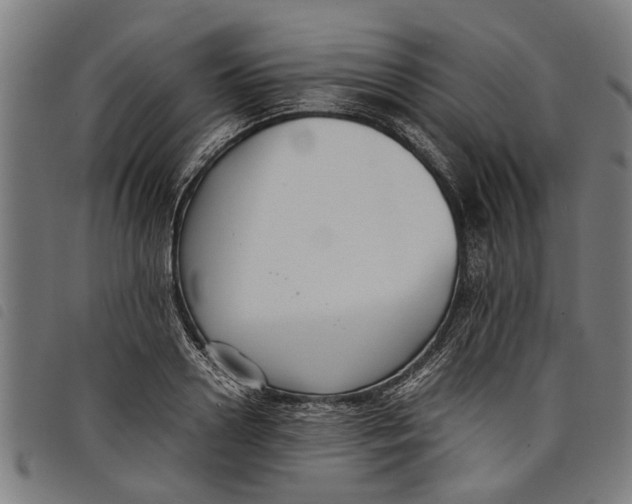 X0000097800938200804041311